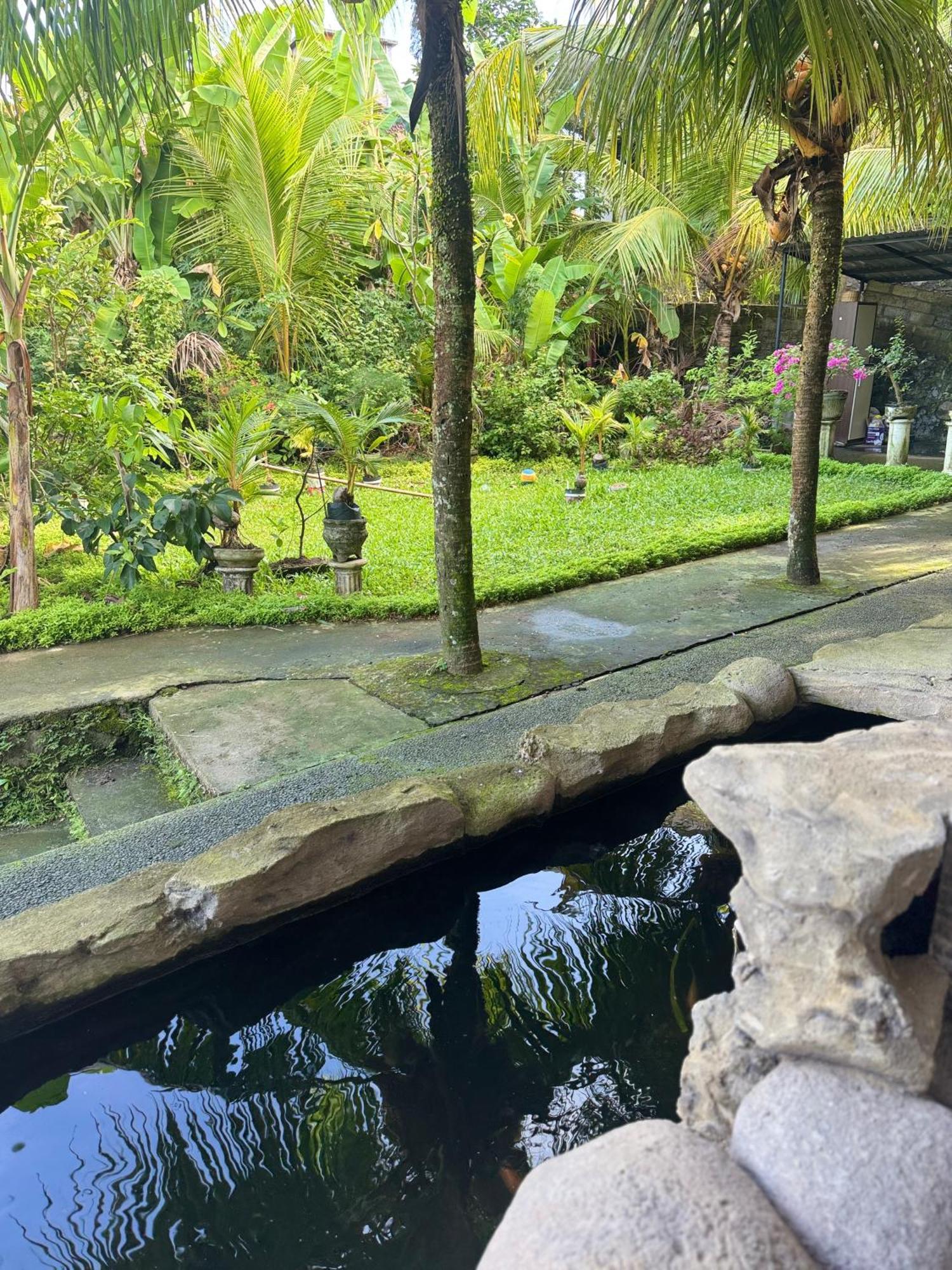 Hotel Pineapple House Ubud Exterior foto